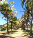 Noumea City Tours