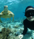 Noumea Snorkelling