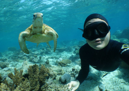 Noumea Snorkelling