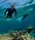 lagoon-snorkeling-lr