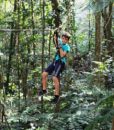 Koghi Zipline